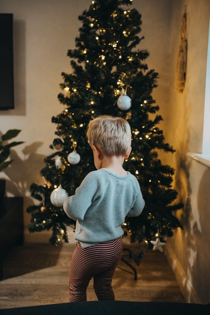 DIY Christmas photos